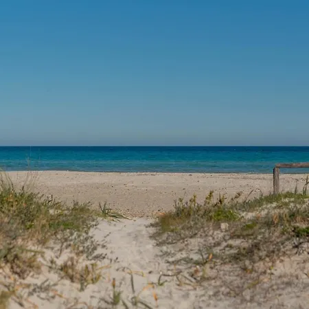 Sarda Holiday home